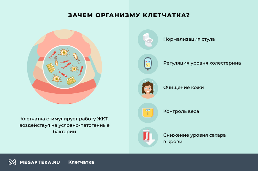 Почему организм считают. Зачем клетчатка организму. Зачем нужна клетчатка организму. Се зачем организму. Зачем организму Бор.